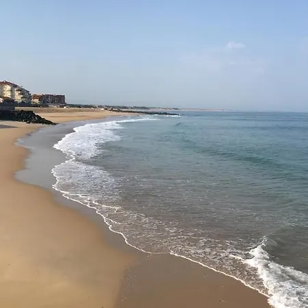 Atlantic Selection - Le Studio 48 Capbreton Exterior foto