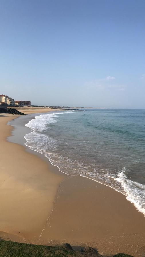 Atlantic Selection - Le 48 Appartement Capbreton